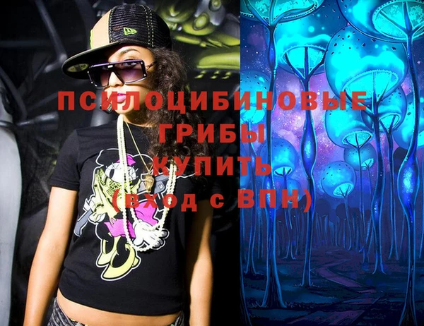 тгк Алексин