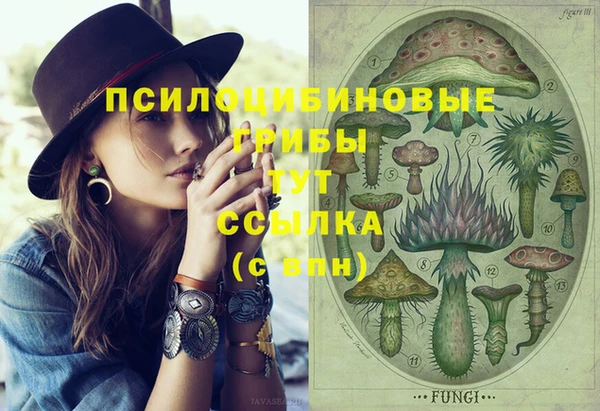 тгк Алексин