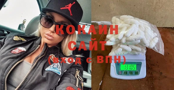 винт Алзамай