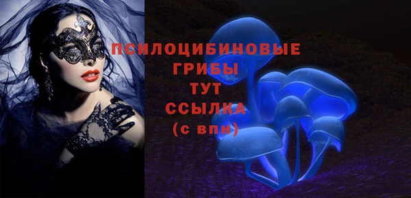 винт Алзамай