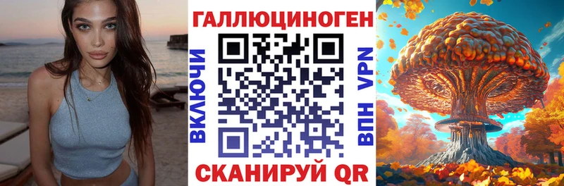 Псилоцибиновые грибы Cubensis Сосенский